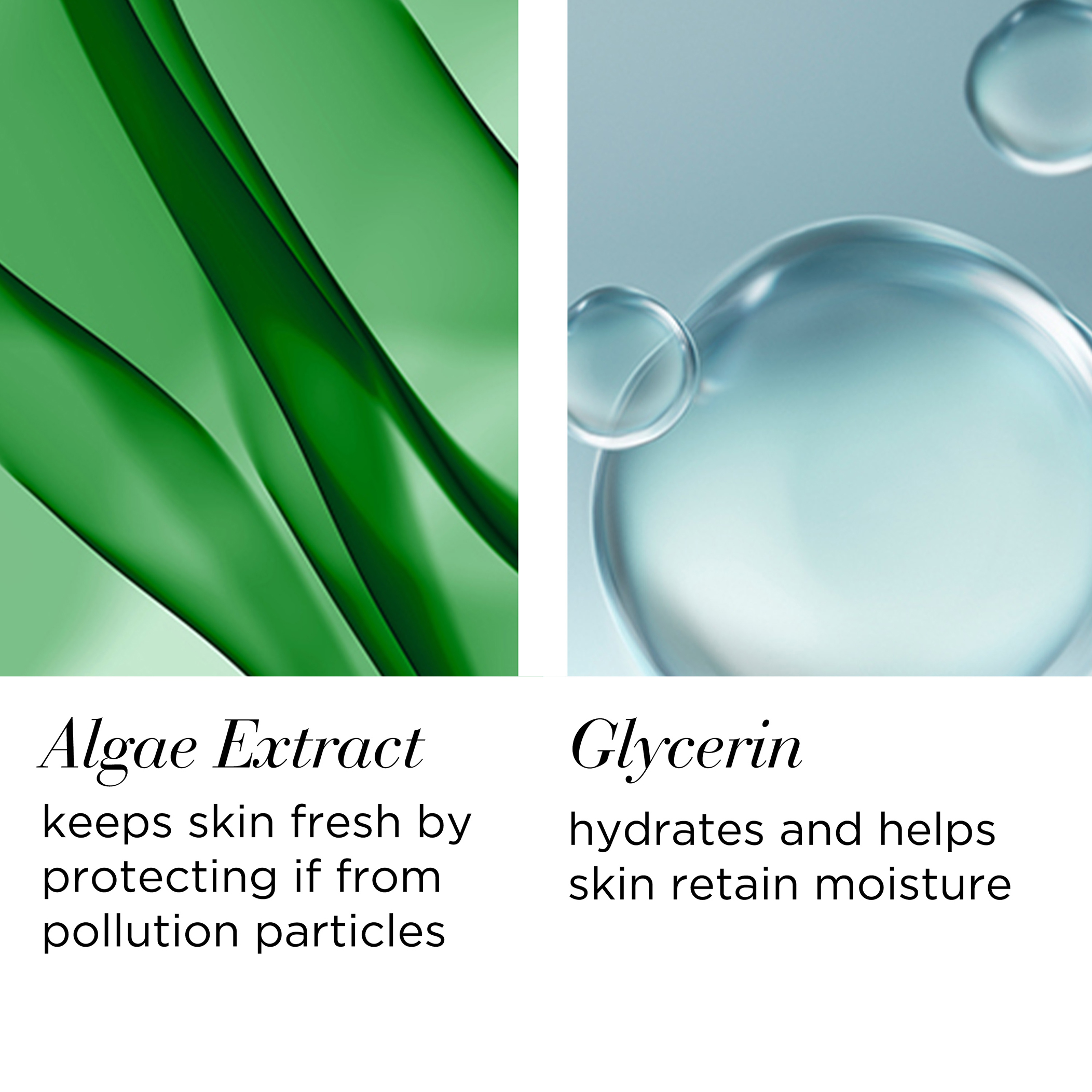 Algae Extract-Keeps skin fresh by protecting from pollution particles, Glycerin- hydrates and helps skin retain moisture