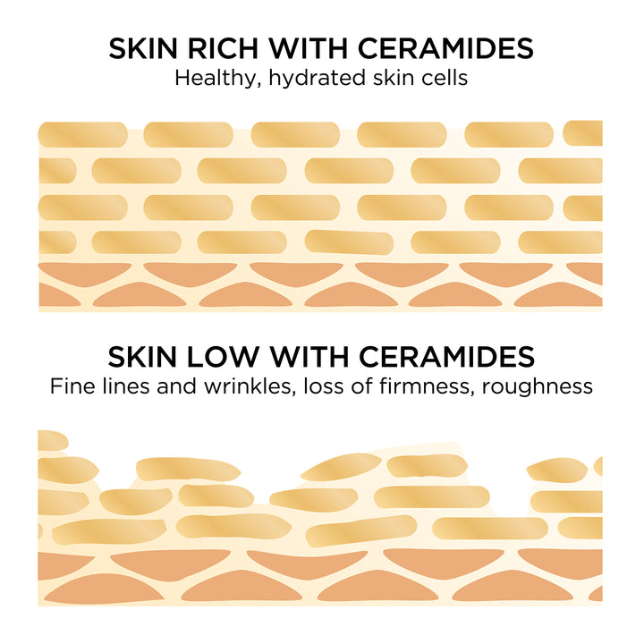 Skin rich with ceramides is healthy, hydrated skin cells vs skin low with ceramides has fine lines and wrinkles, loss of firmness and roughness