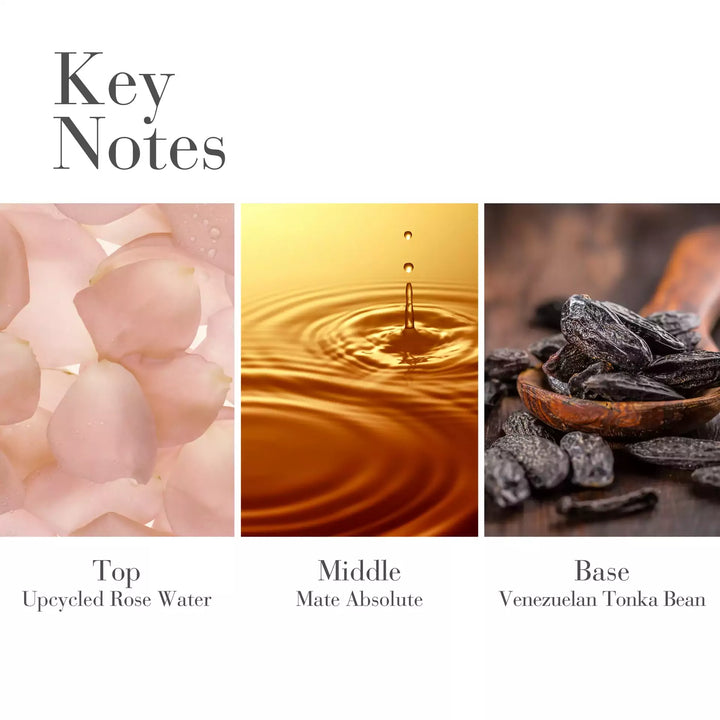 Key Notes- Top- Upcycled Rose Water, Middle- Mate Absolute, Base-Venezuelan Tonka Bean