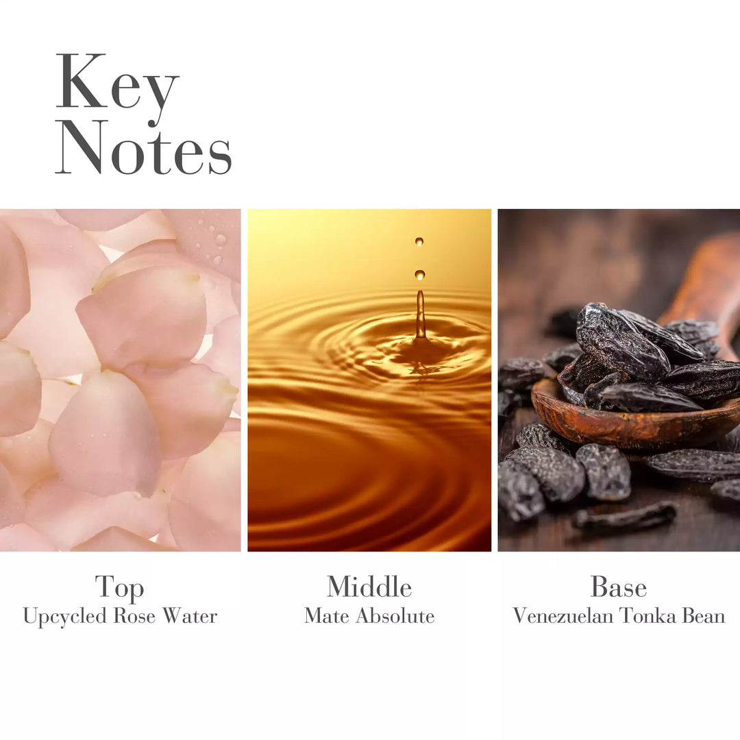 Key Notes- Top- Upcycled Rose Water, Middle- Mate Absolute, Base-Venezuelan Tonka Bean