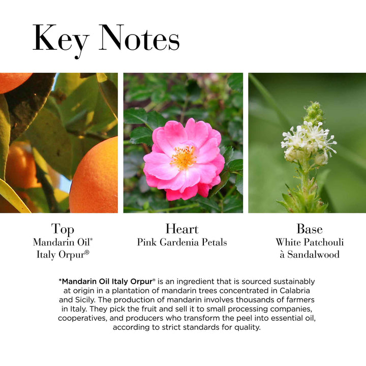 Key Notes- Top Mandarin Oil* Italy Orpur®, Heart Pink Gardenia Petals, Base White Patchouli & Sandalwood. Mandarin Oil Italy Orpur is an ingredient that is sourced sustainably at origin in Calabria and Sicily.