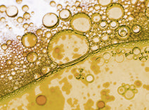 Palmitoyl + Hexapeptide - 14