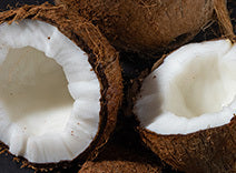 Coconut